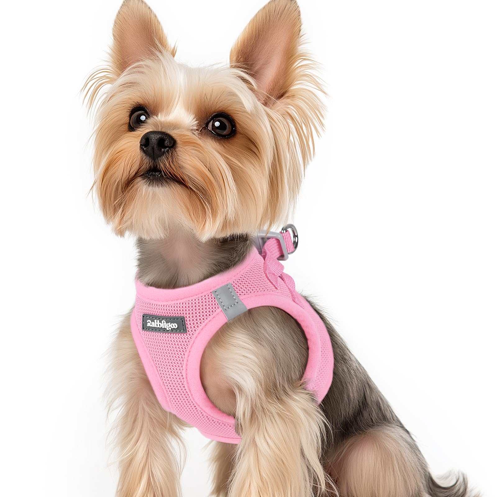 Rabbitgoo small dog harness light pink XS step-in design for quick, secure wearing.