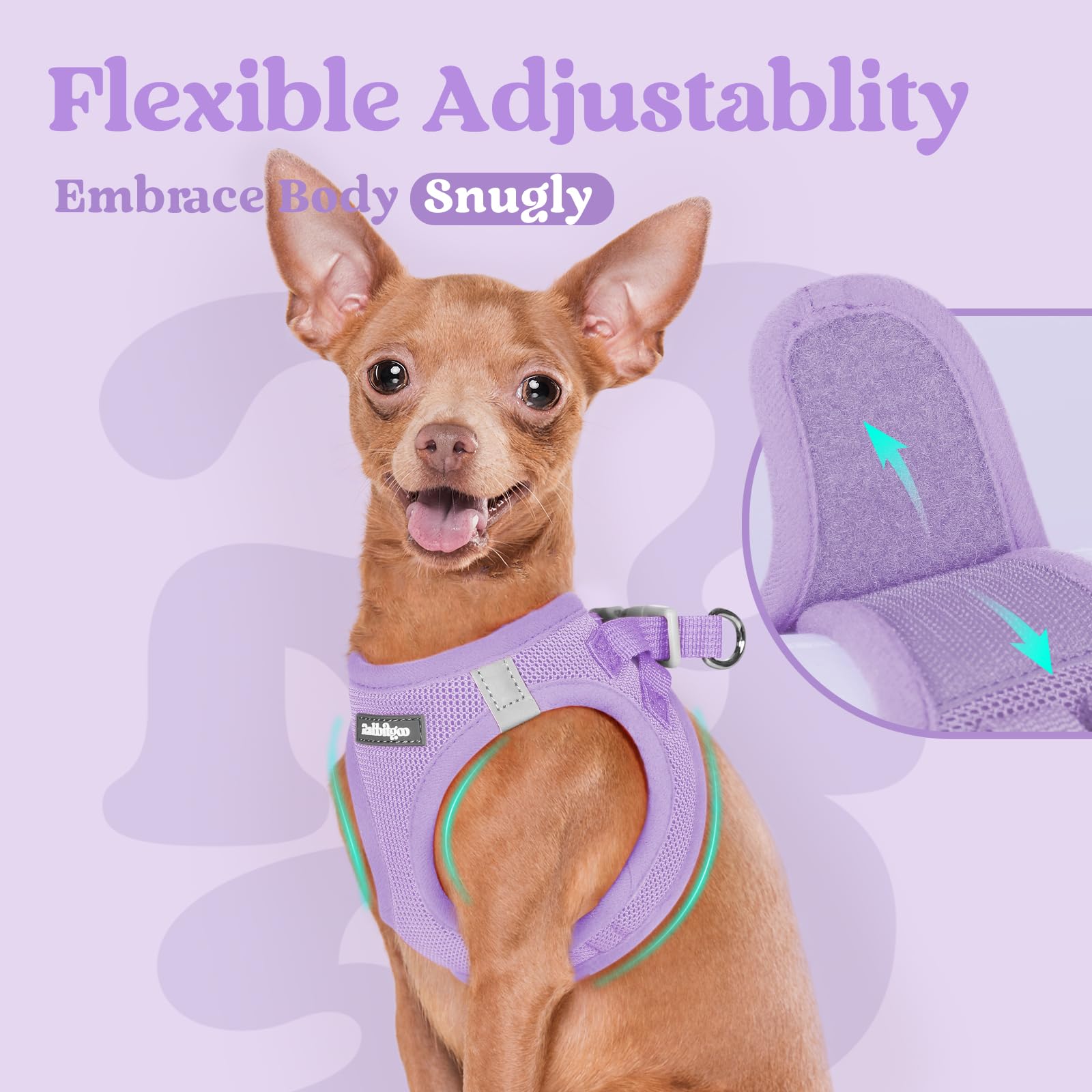 Rabbitgoo light purple color adds personality to everyday walks