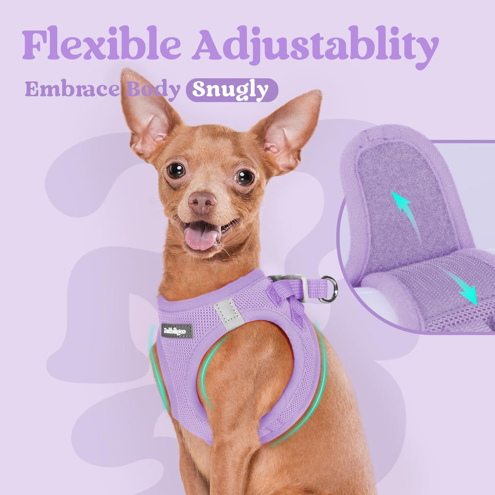 Rabbitgoo light purple color adds personality to everyday walks