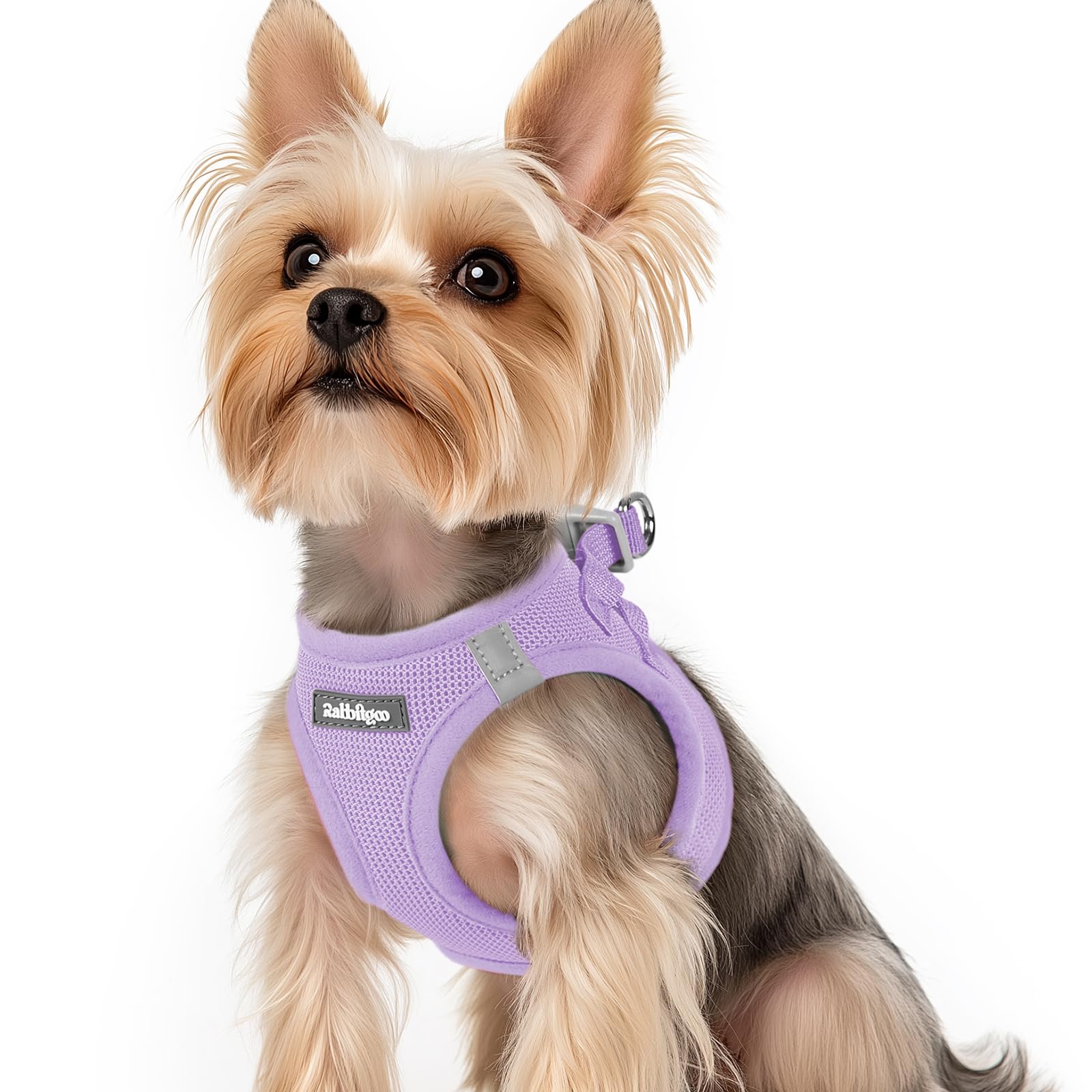 Rabbitgoo small dog harness light purple XS step-in design for quick walks