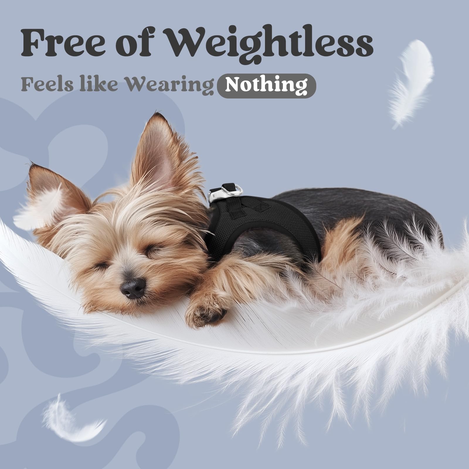 rabbitgoo small dog harness side view highlighting lightweight burden-free fit for travel