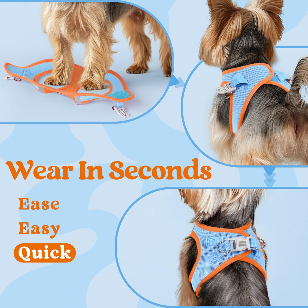 Rabbitgoo small dog harness lightweight design for all-day wear