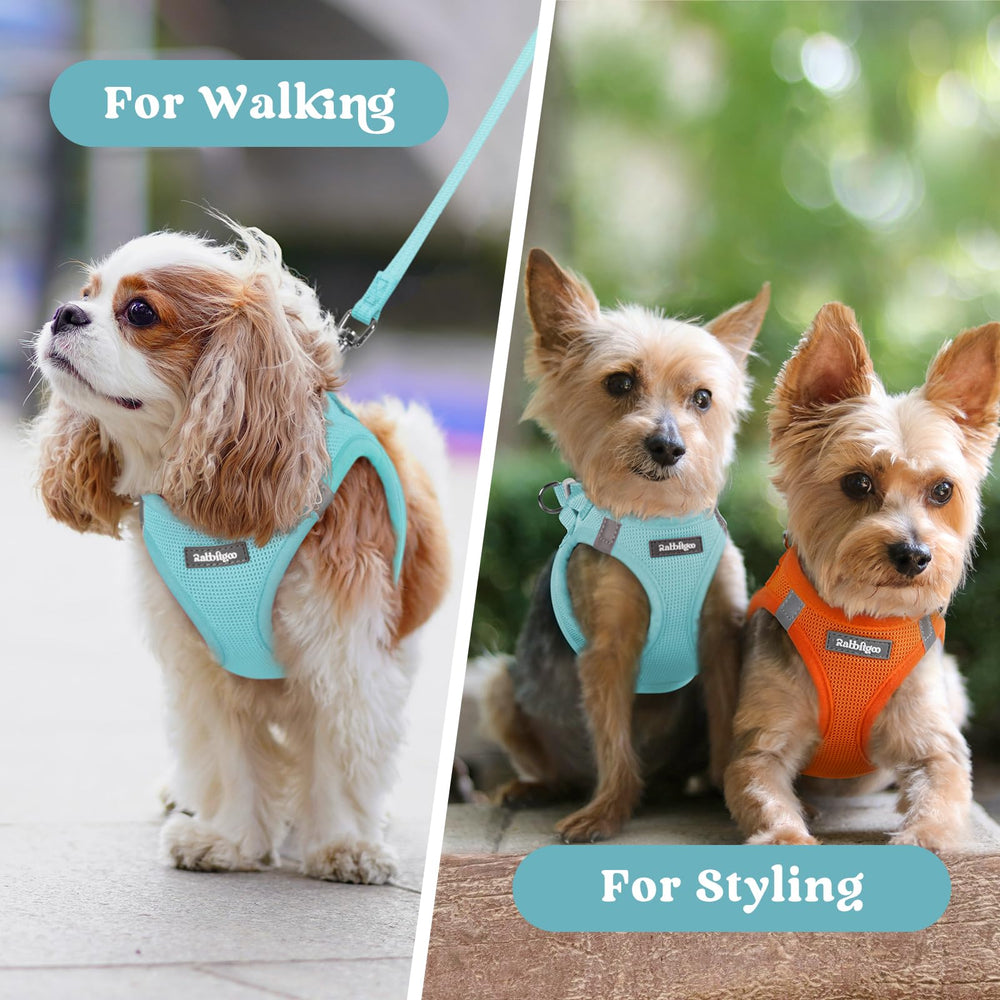 Rabbitgoo lightweight harness resting on a dog's fur-friendly material