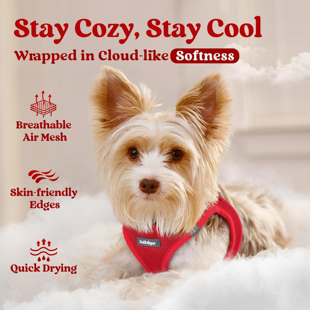 Rabbitgoo small dog harness M red quick-dry fabric ideal for all weather.