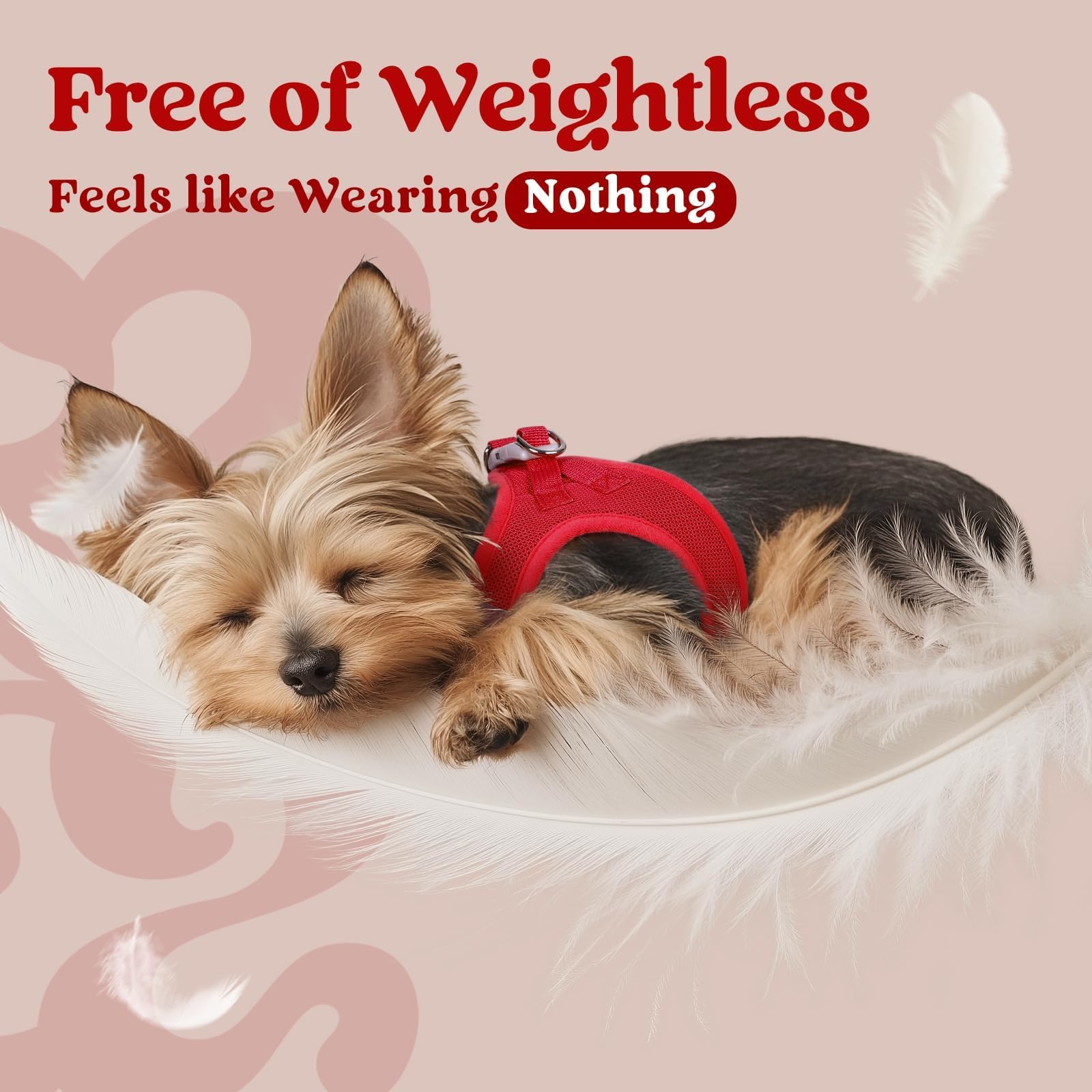 Rabbitgoo small dog harness M red reflective bands for day and night visibility.