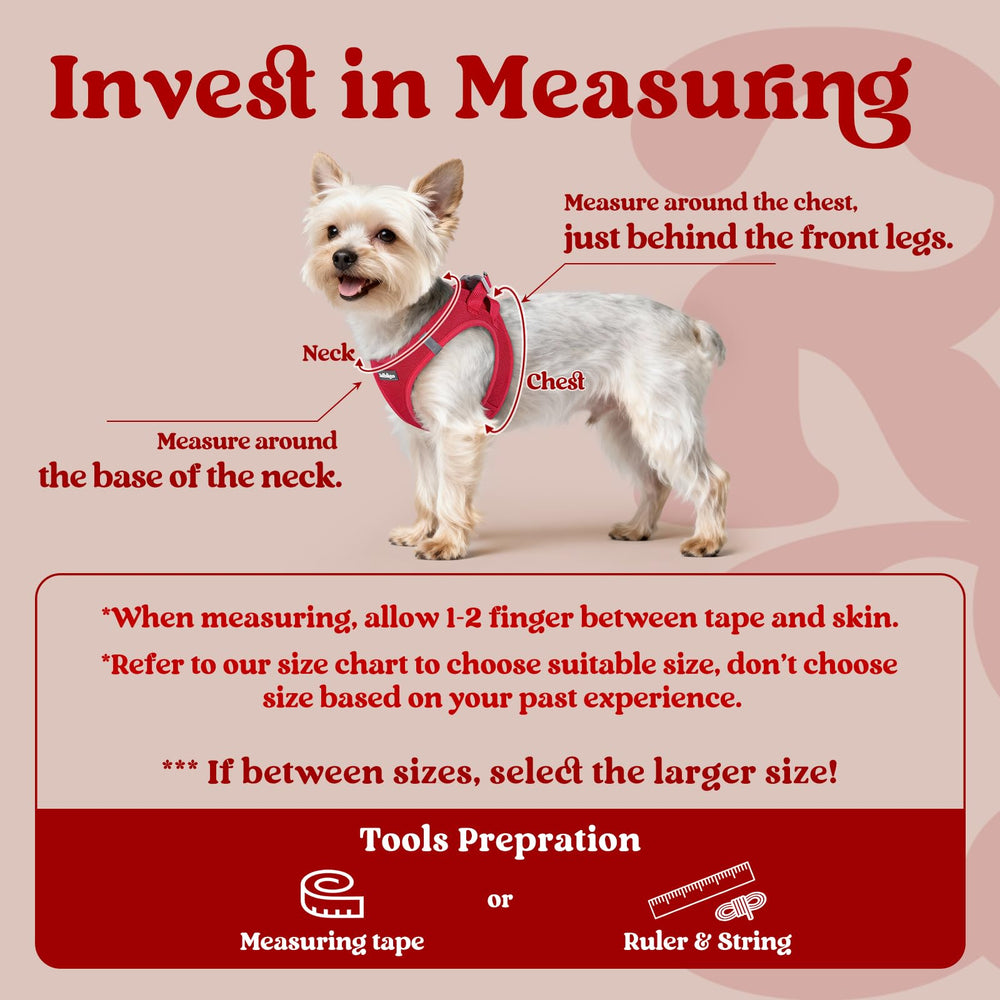 Rabbitgoo small dog harness M red features soft air mesh for breathable comfort.