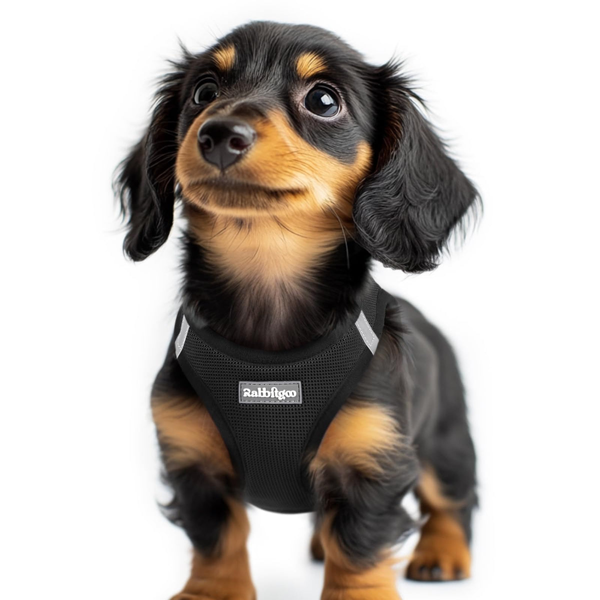 Rabbitgoo small dog harness mesh top view for breathable comfort on walks