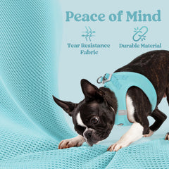 Rabbitgoo mint-blue reflective bands enhance visibility for day and night strolls