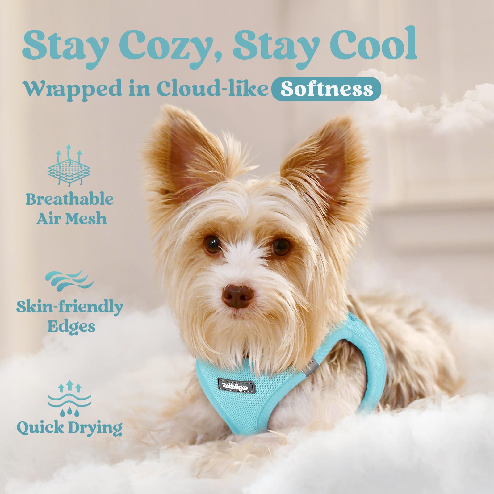 Rabbitgoo harness features safety buckle for secure fits during walks