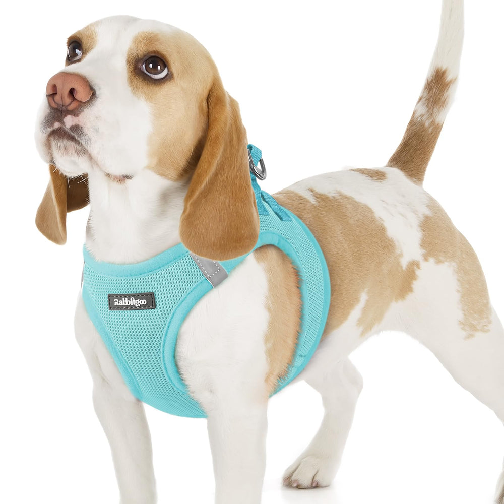 Rabbitgoo small dog harness mint blue step-in design for quick, secure wearing