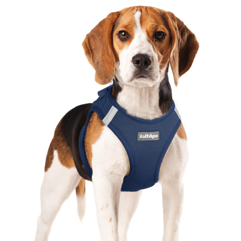 Rabbitgoo small dog harness navy blue front view for comfortable daily walks.