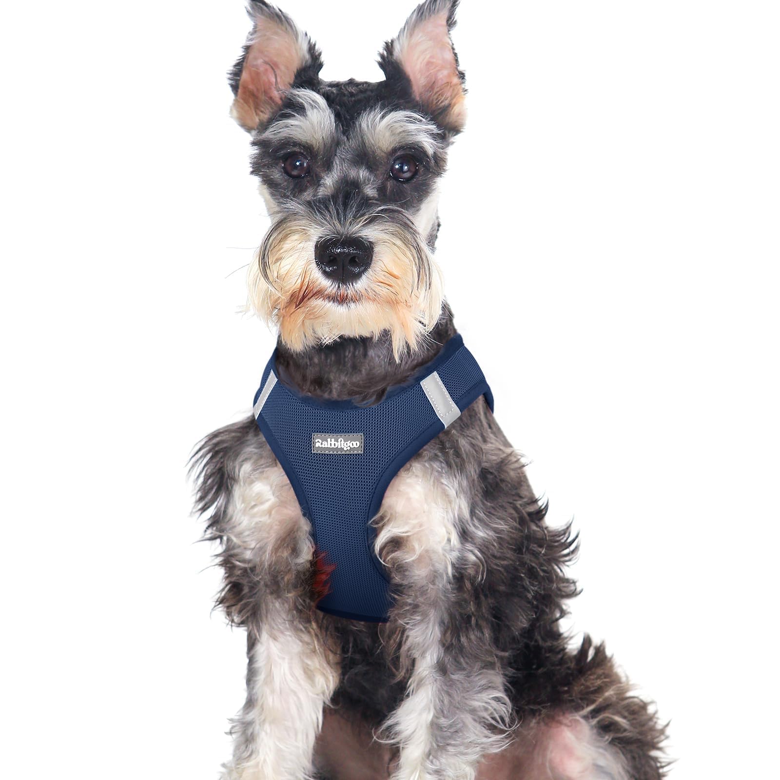 Rabbitgoo small dog harness navy mesh breathability for warm walks