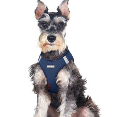 Rabbitgoo small dog harness navy mesh breathability for warm walks