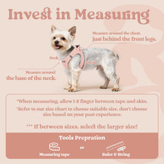 Rabbitgoo pink breathable mesh harness keeps small dogs cool on walks