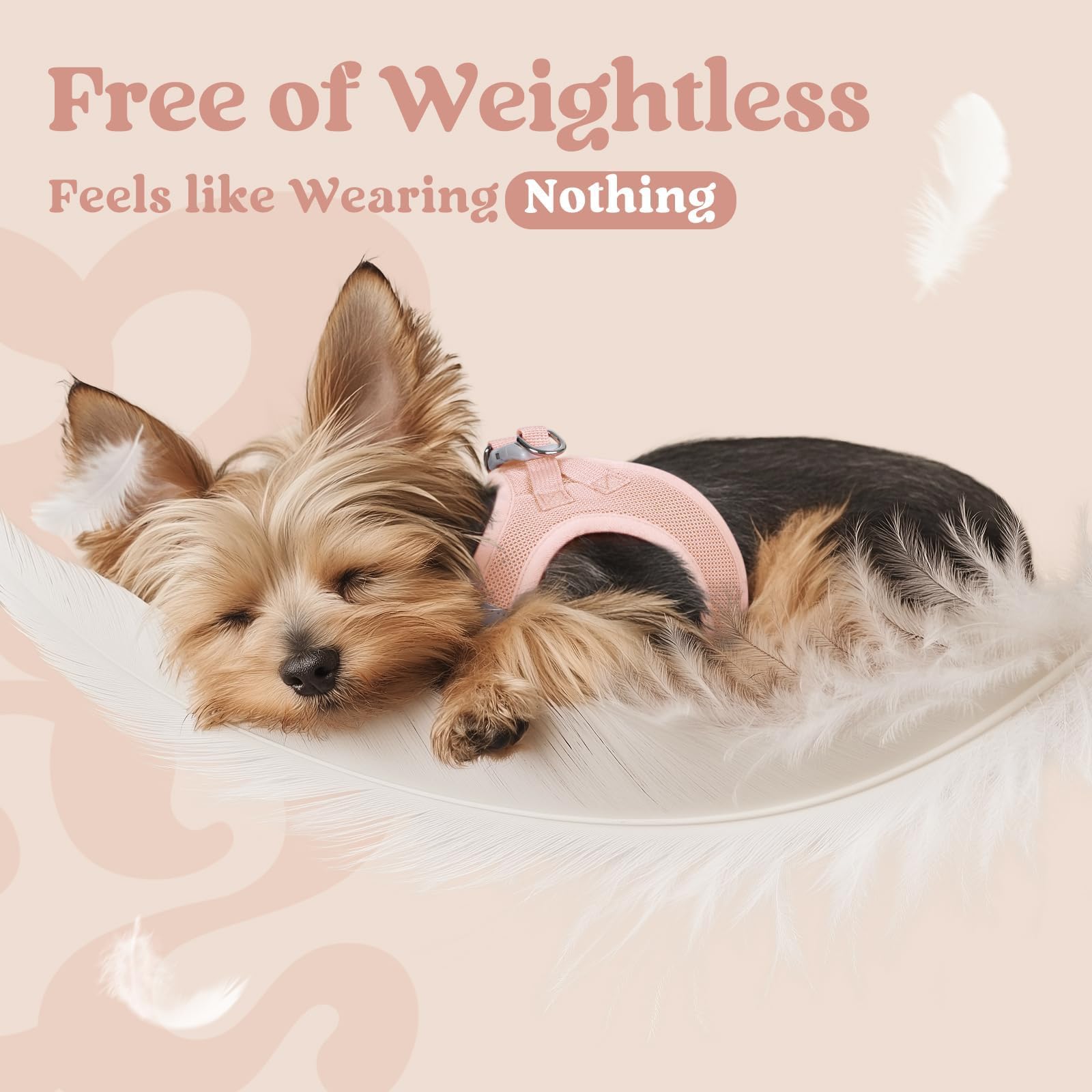 Rabbitgoo pink reflective bands on harness for better visibility during dusk strolls