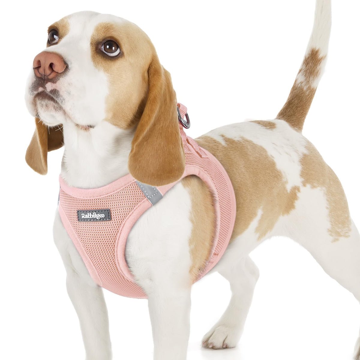 Rabbitgoo pink step-in harness ready for quick daily walks