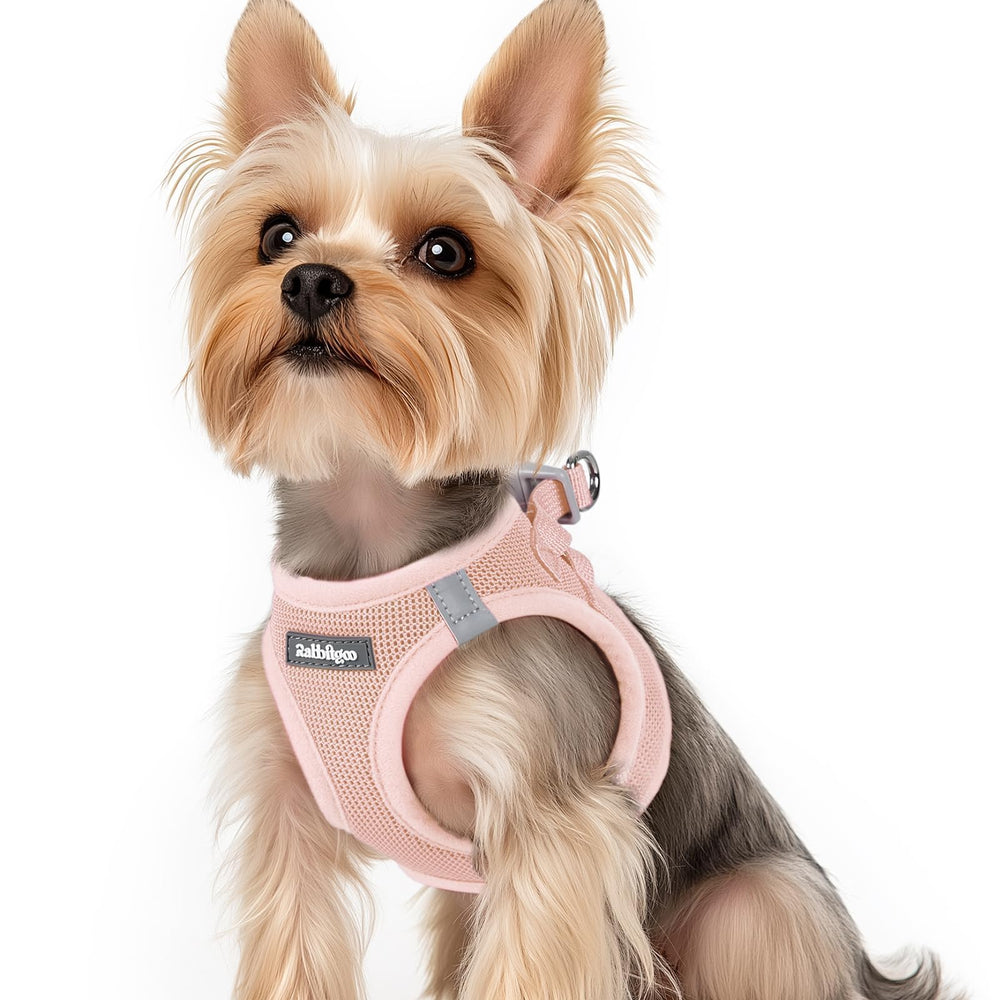 Rabbitgoo small dog harness pink XS worn for comfy daily walks.