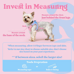 rabbitgoo small dog harness puppy vest mesh shows breathable comfort for all-day wear.