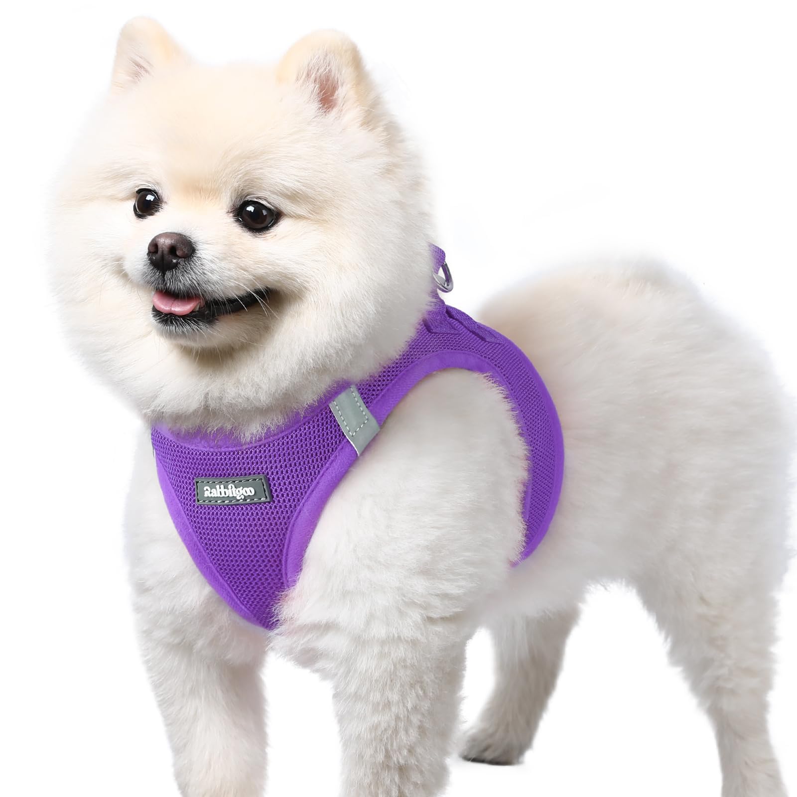 Rabbitgoo small dog harness purple step-in design for quick on/off during daily walks