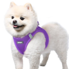 Rabbitgoo small dog harness purple step-in design for quick on/off during daily walks