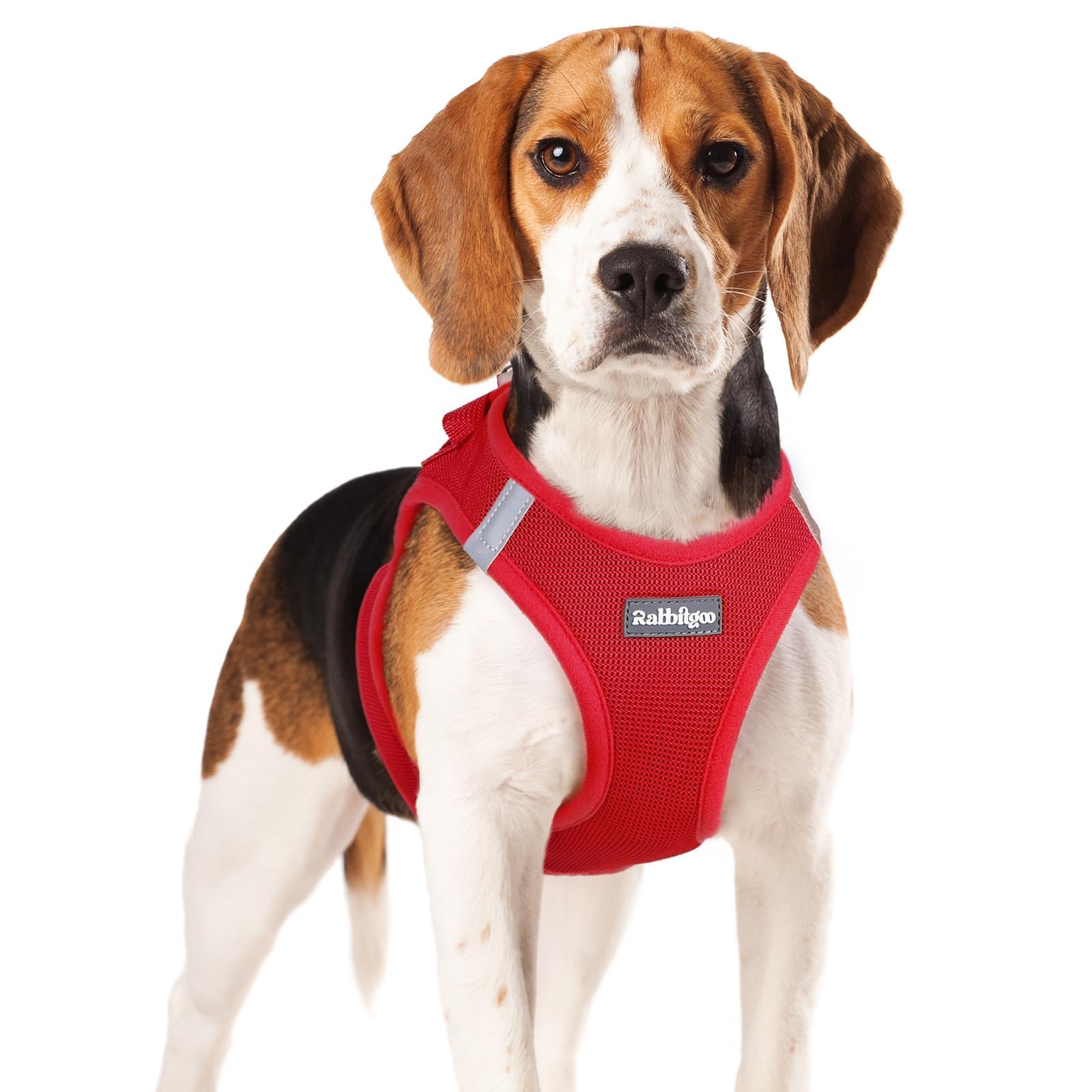 Rabbitgoo small dog harness red XL front view, secure fit for daily walks