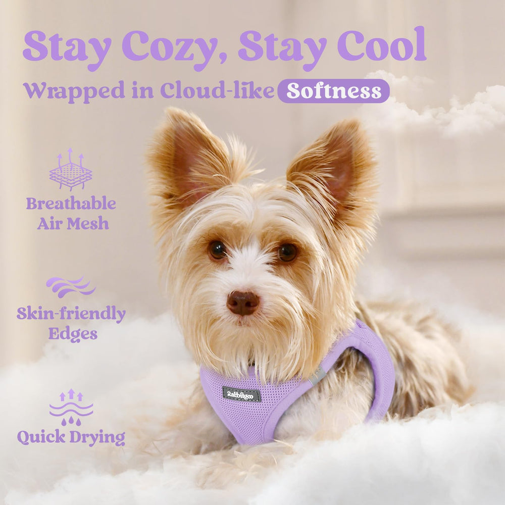 Rabbitgoo harness with reflective bands for safer night walks.