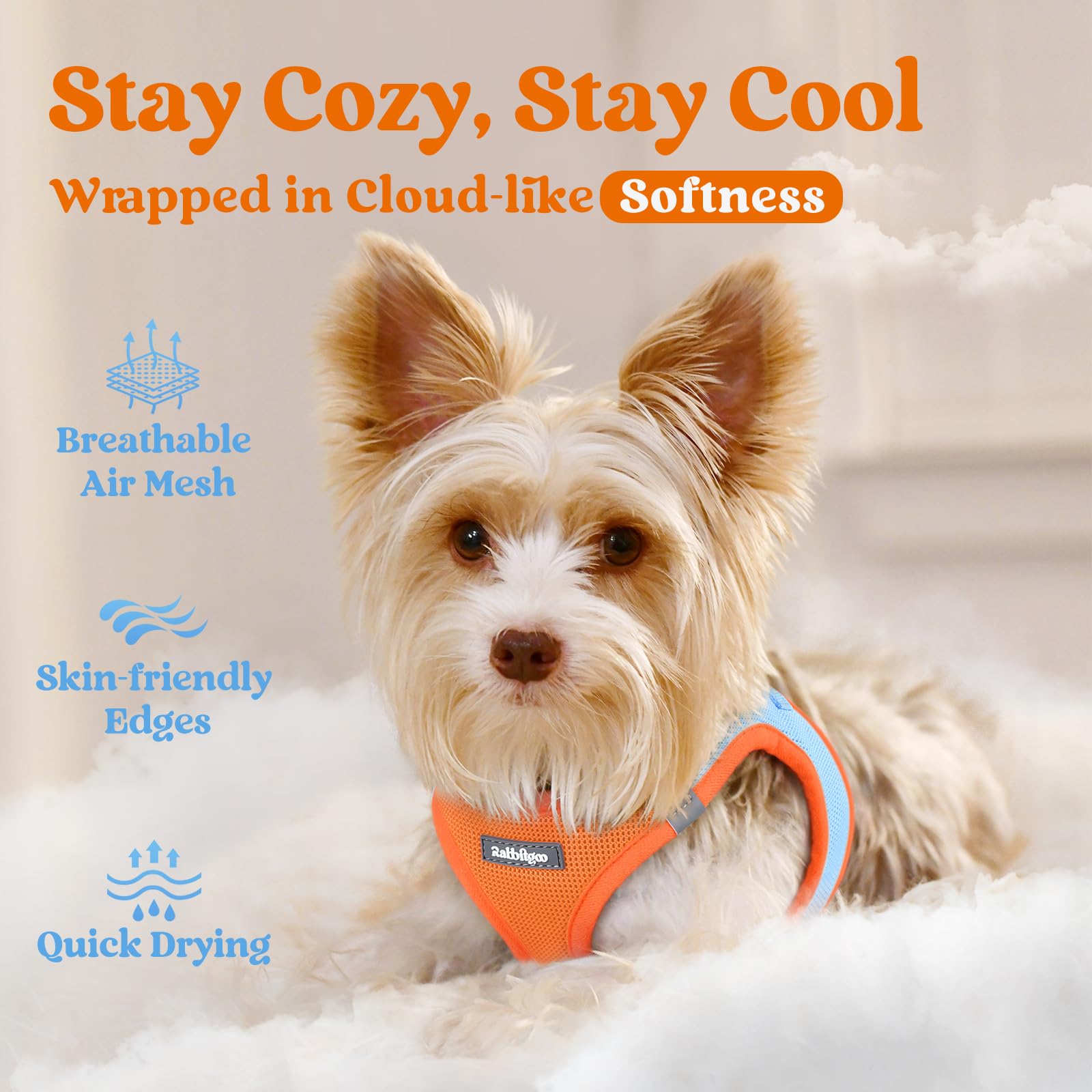 Rabbitgoo small dog harness Reflective bands enhance visibility during night walks.