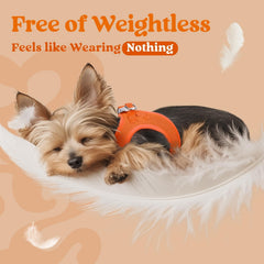 Rabbitgoo reflective bands improve visibility for safe night walks.