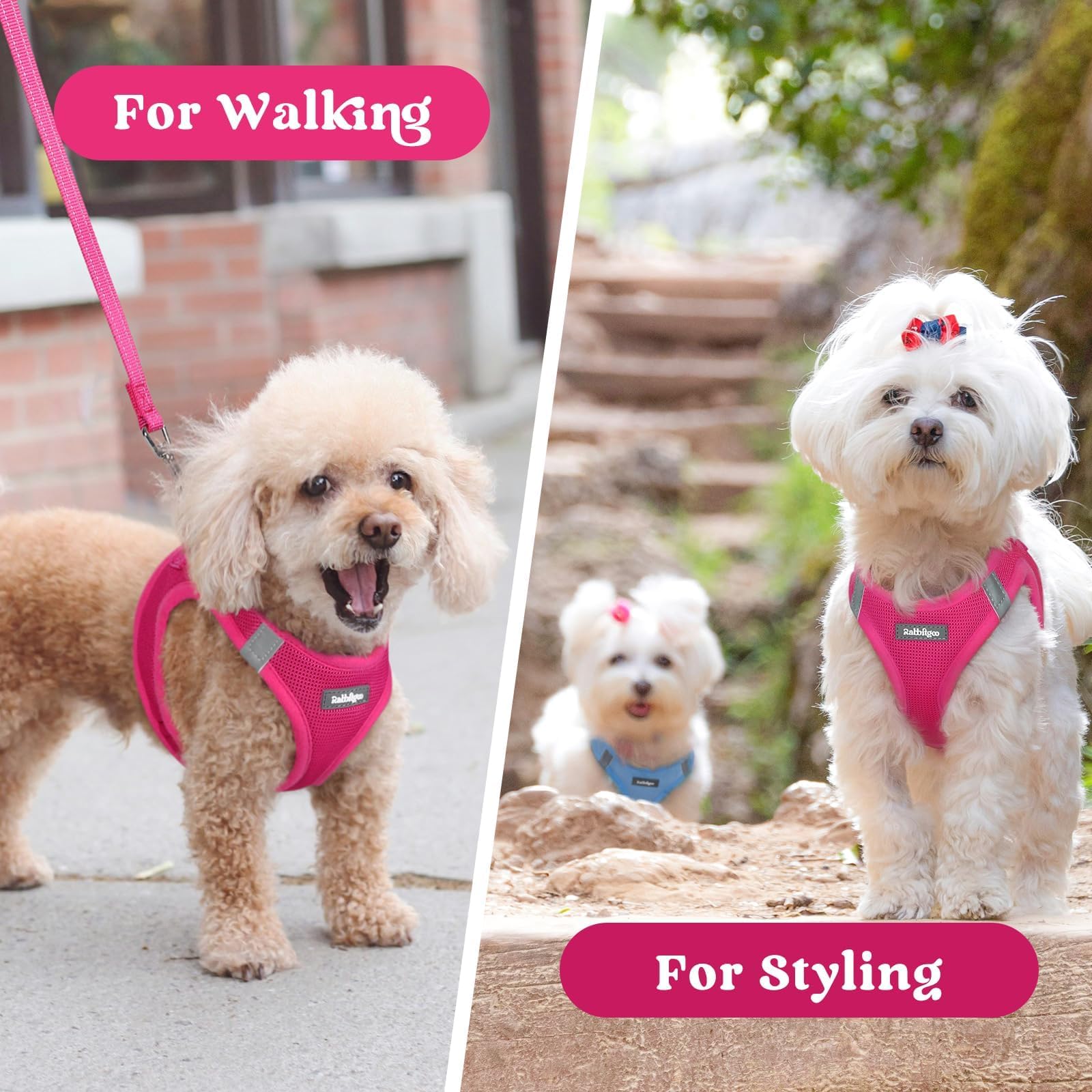 Rabbitgoo small dog harness rose red color adds stylish flair on adventures