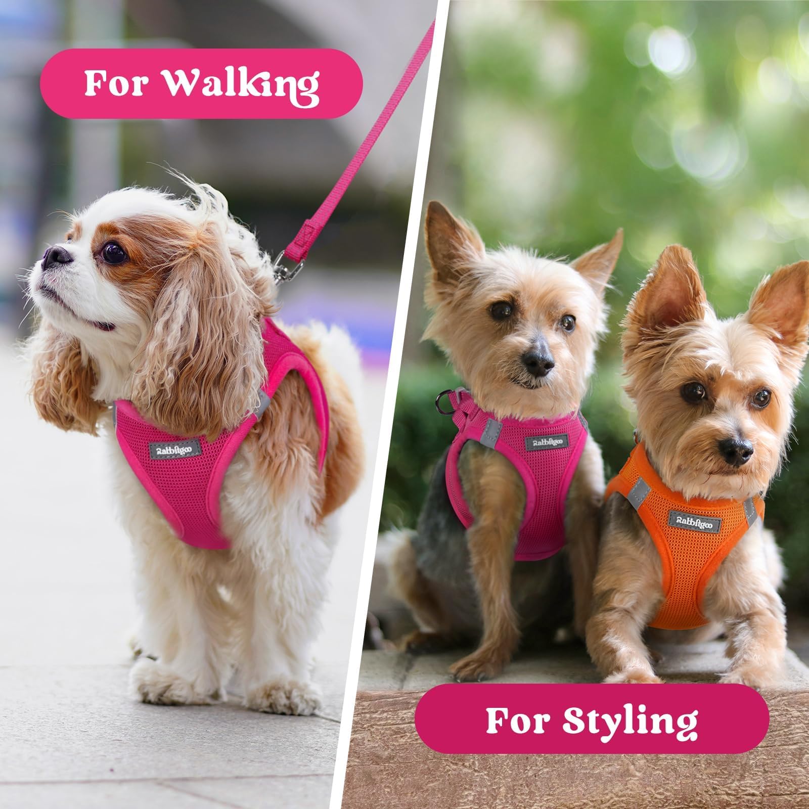 Rabbitgoo XXXS rose red harness adds playful style while remaining fur-friendly