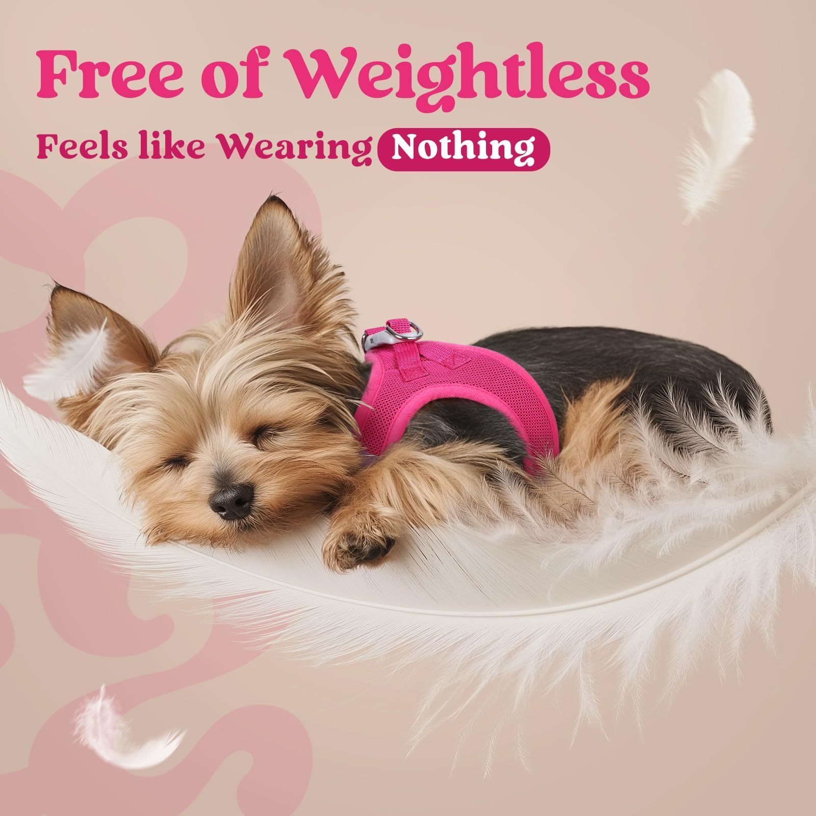Rabbitgoo XXXS harness with sturdy buckle prevents escapes during walks