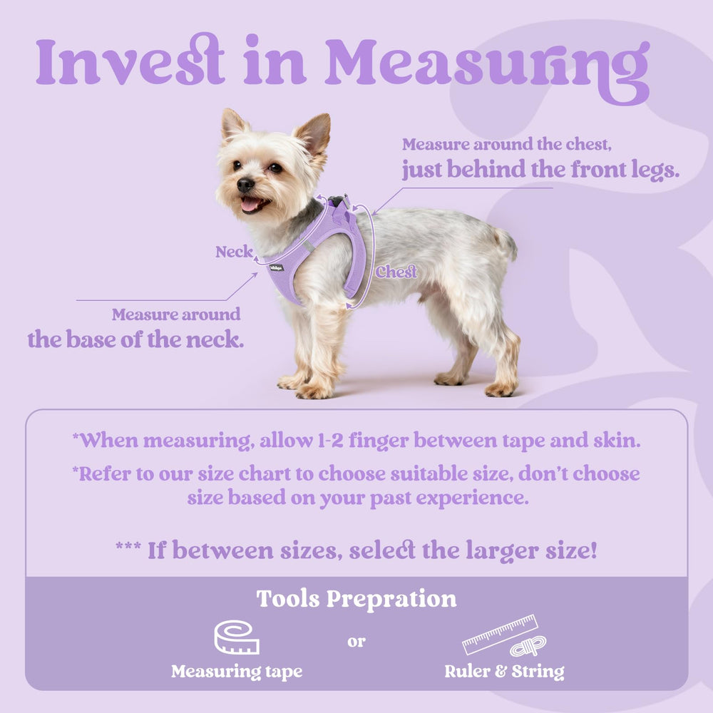 Rabbitgoo small dog harness with safety buckle clip for secure everyday outings.
