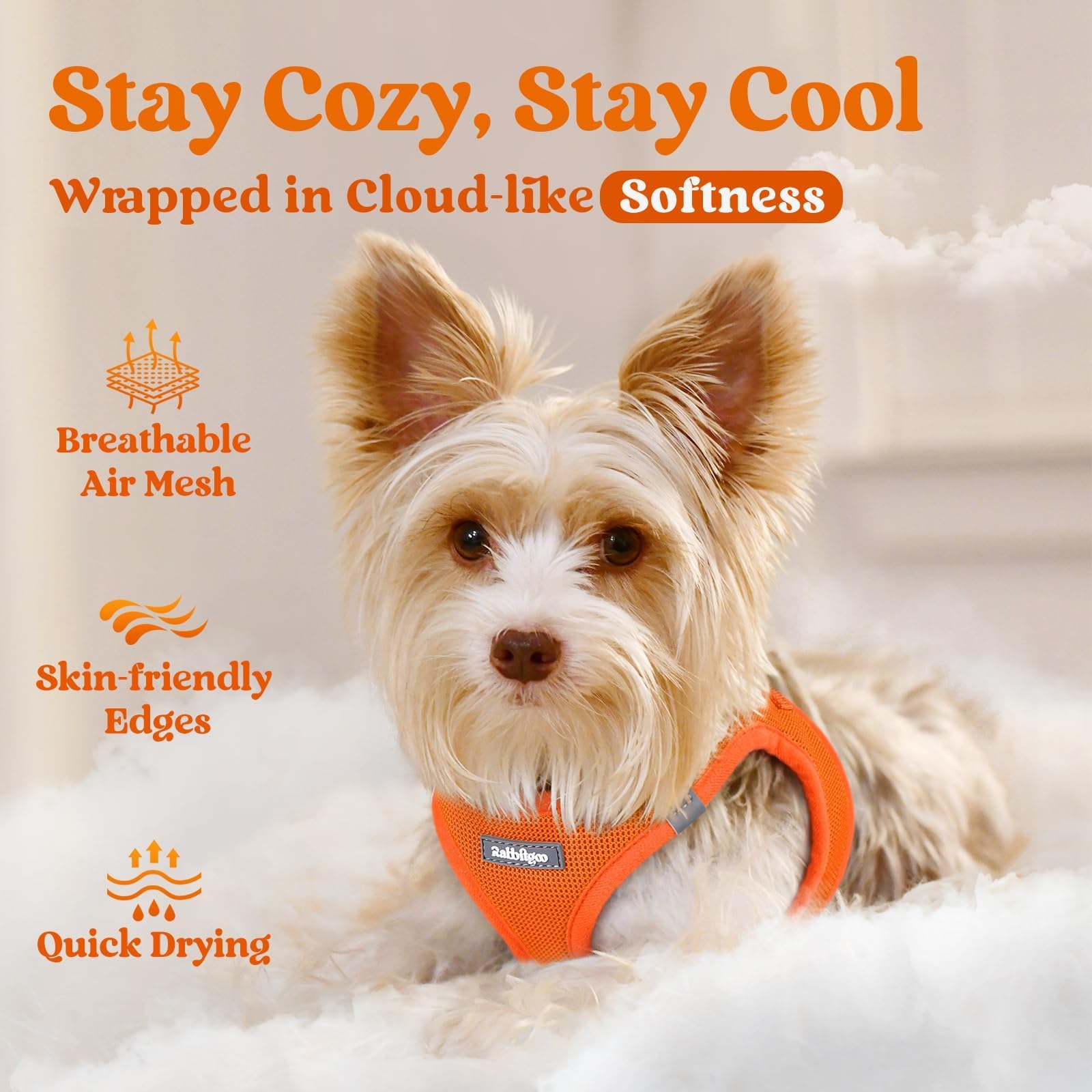 Rabbitgoo safety buckle harness prevents escapes during busy walks.