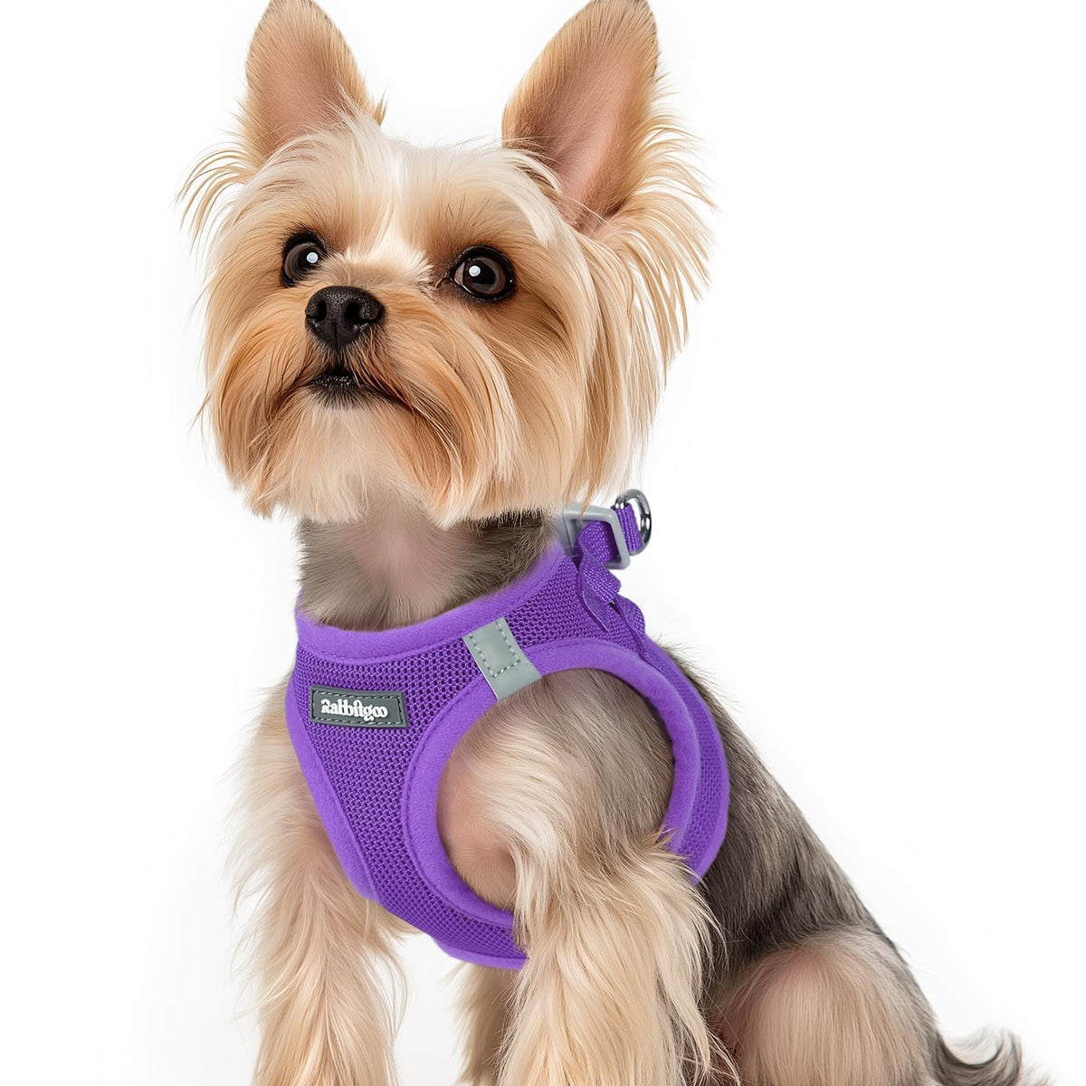 Rabbitgoo small dog harness side view showing secure comfortable fit for daily walks