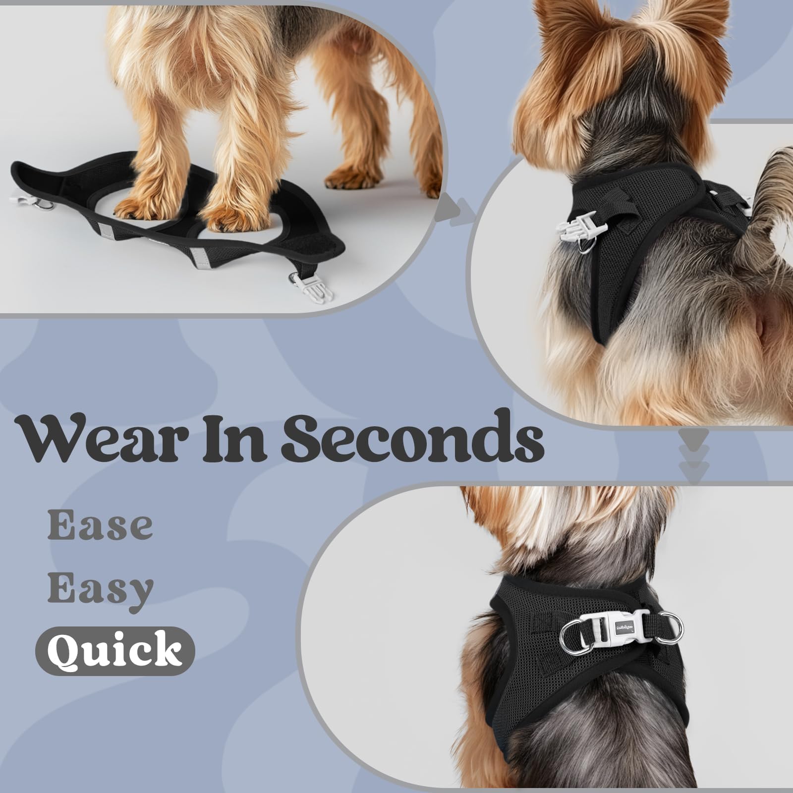 rabbitgoo small dog harness size chart helps find fit.