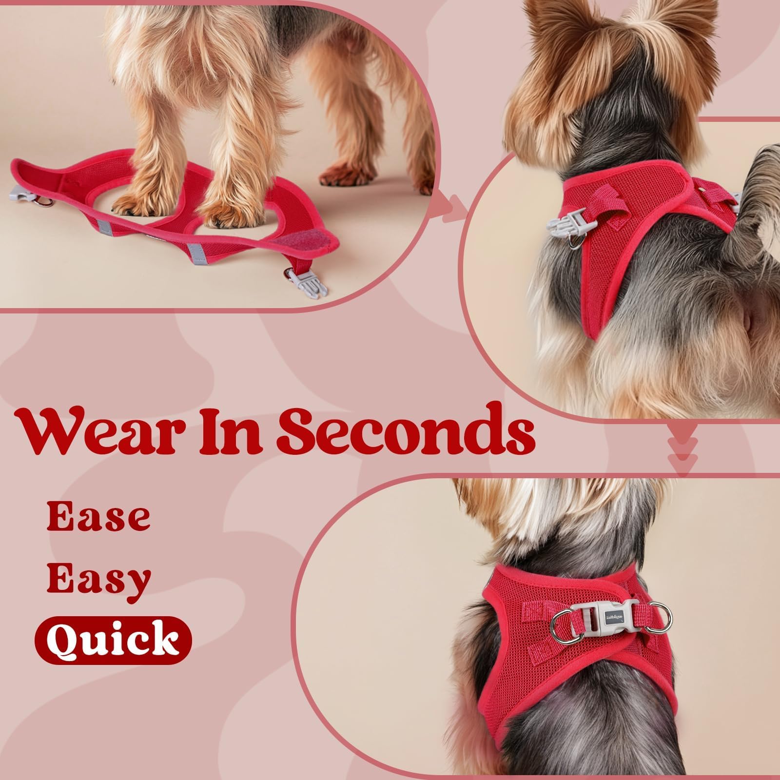 Rabbitgoo small dog harness size S chart shows neck and chest measurements for fit.
