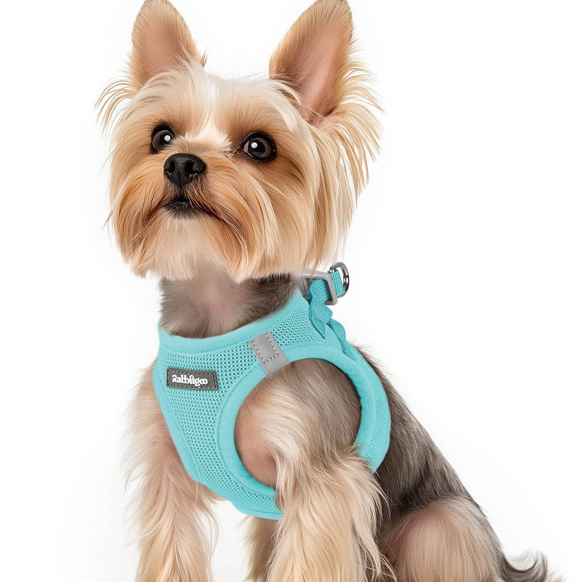 Rabbitgoo small dog harness close-up shows breathable air mesh for comfort