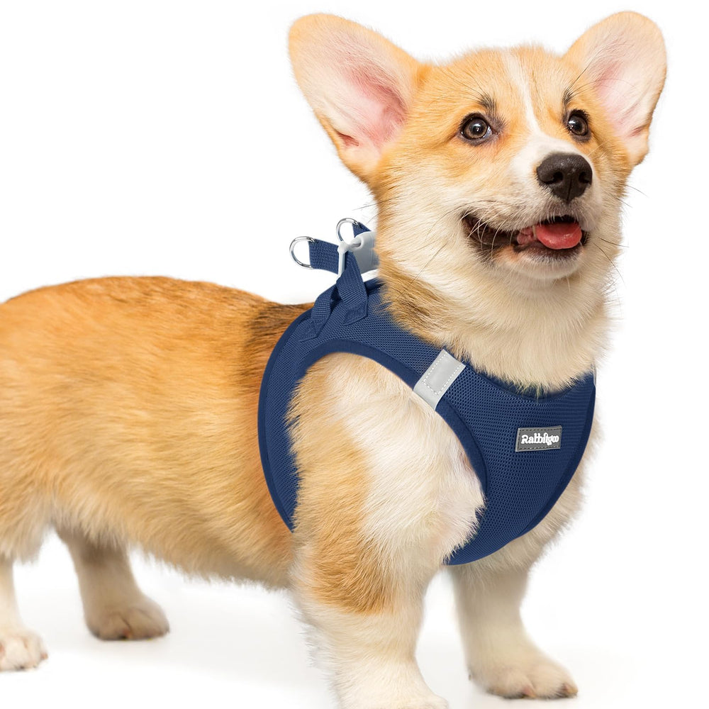 Rabbitgoo small dog harness with soft air mesh for breathable comfort on walks