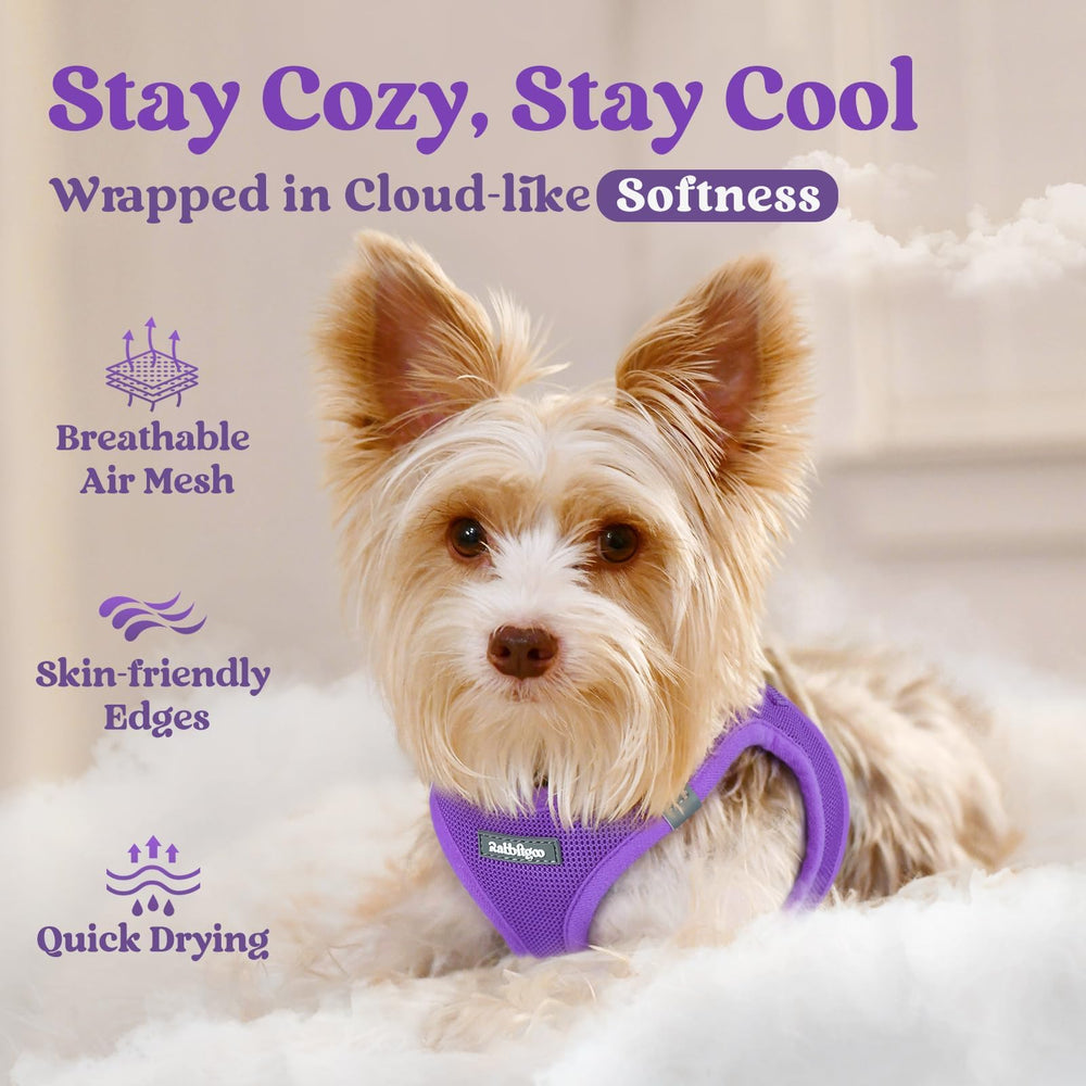 Rabbitgoo small dog harness soft air mesh fabric keeps pets cool