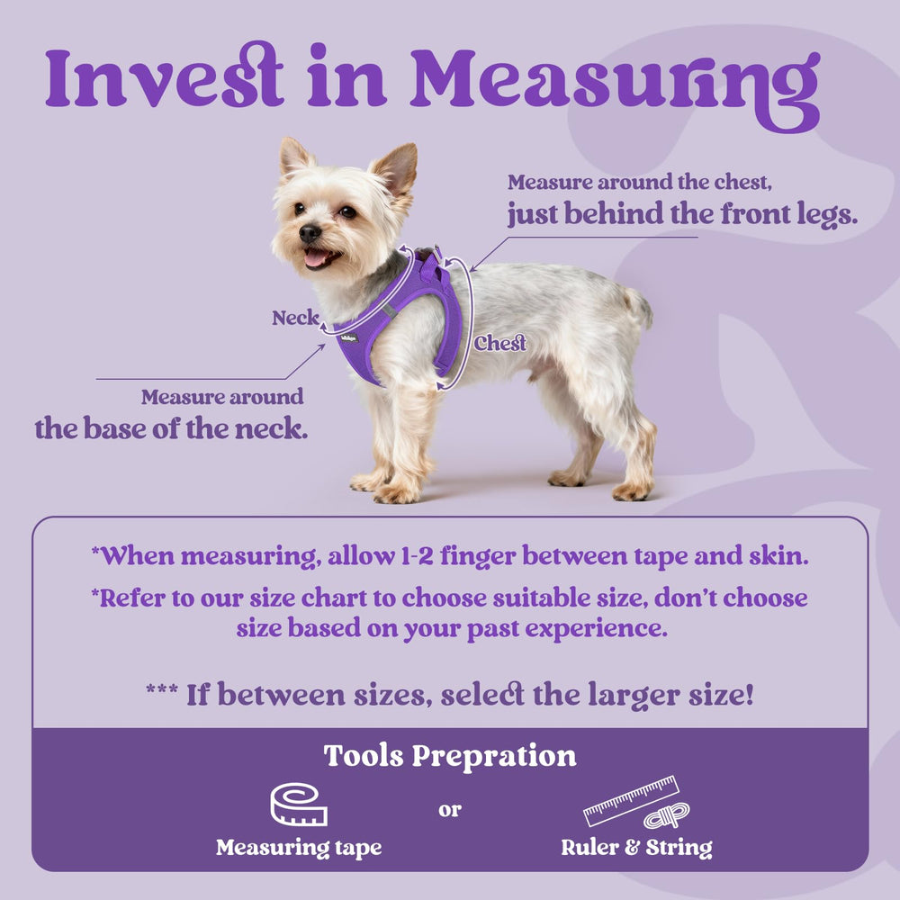 rabbitgoo small dog harness soft air mesh keeps tiny pups cool and comfy