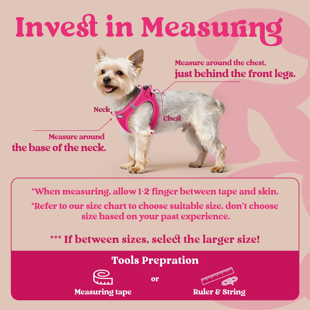 Rabbitgoo small dog harness soft air mesh keeps dogs cool