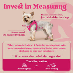 Rabbitgoo small dog harness soft air mesh for cooling comfort