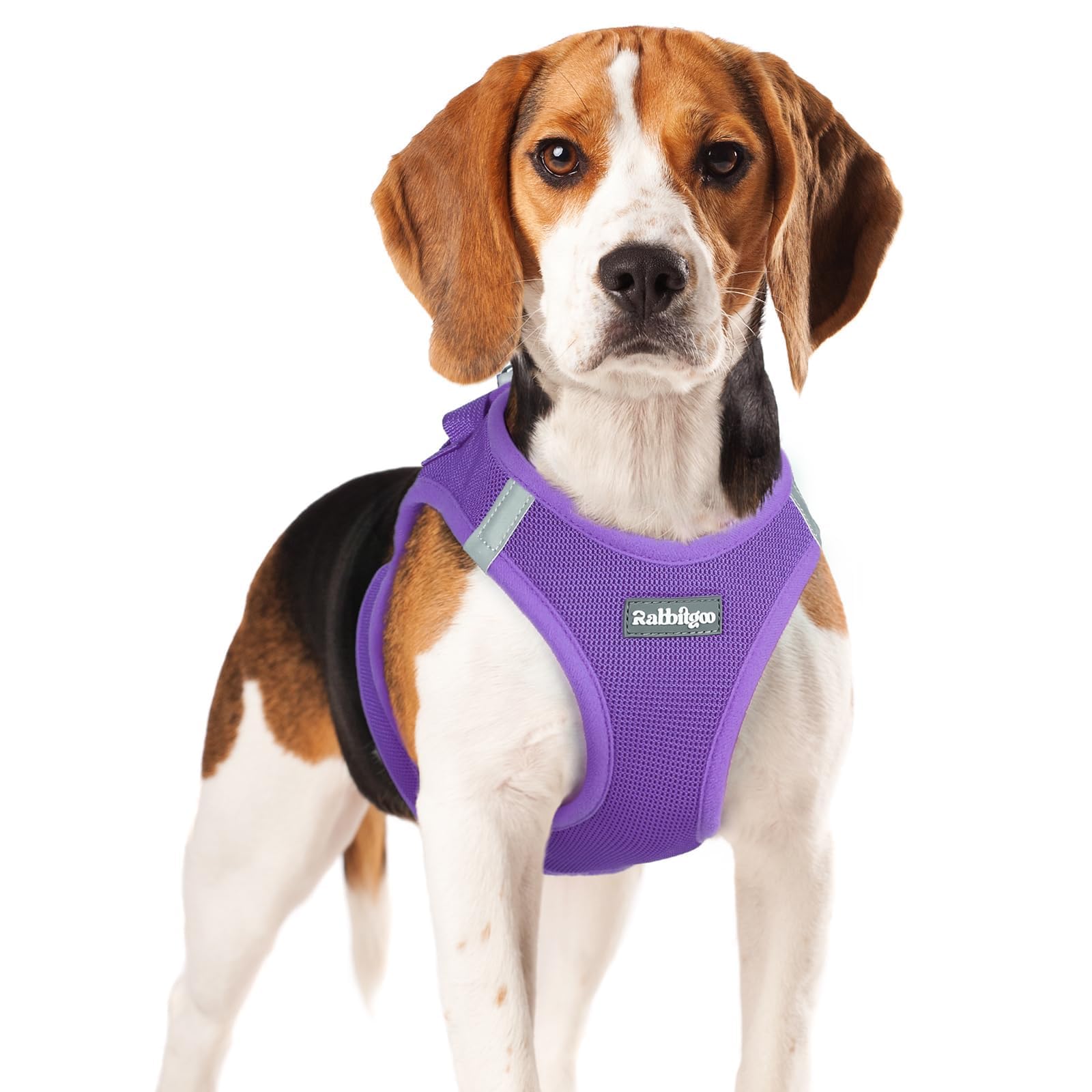 Rabbitgoo small dog harness soft mesh close-up for breathable comfort.