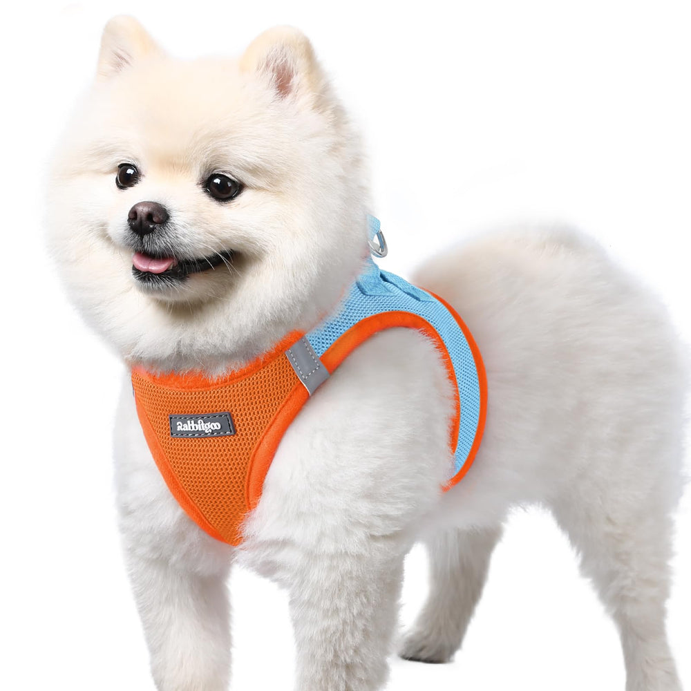 rabbitgoo small dog harness step-in blue-orange S front view for secure walks