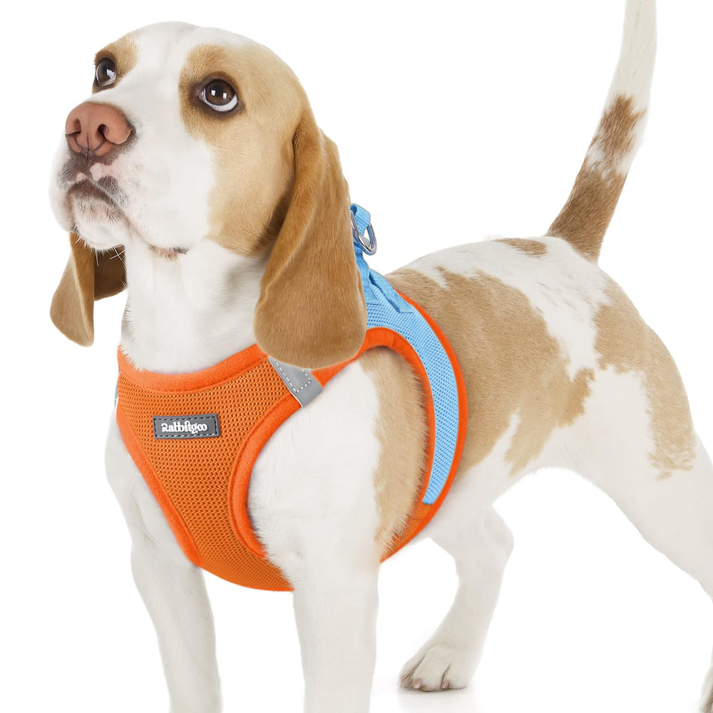 Rabbitgoo small dog harness Step-in breathable mesh blue for easy, cool walks.