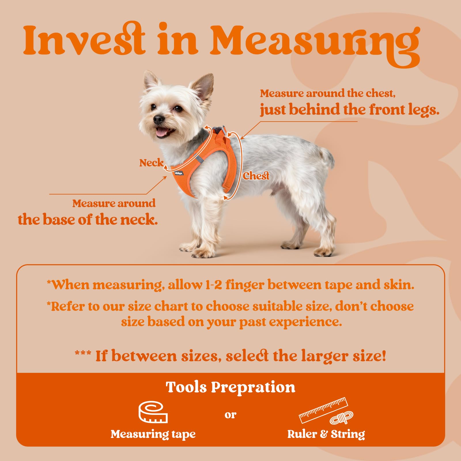 Rabbitgoo small-dog-harness step-in design simplifies fitting for busy owners.