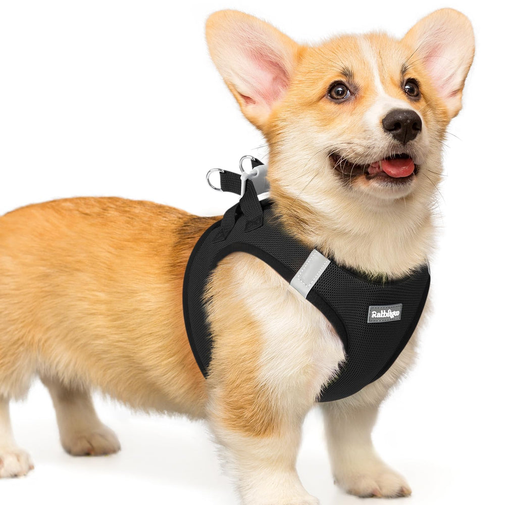 rabbitgoo small dog harness step-in design makes quick outfits easy.