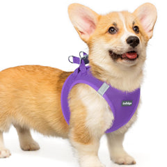 Rabbitgoo small dog harness step-in front view for easy wearing and comfort