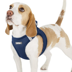 Rabbitgoo small dog harness step-in front view for easy wear
