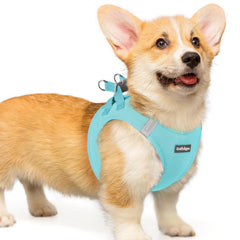 Rabbitgoo small dog harness Mint Blue front view shows step-in design for quick on/off